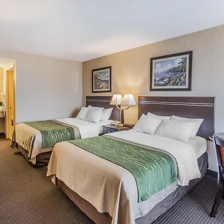 Comfort Inn On The Bay-2