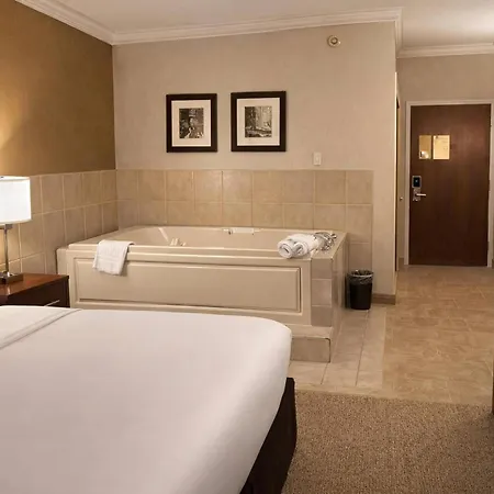 Comfort Inn Farmington Hills - Novi-Royal Oaks-Southfield-Detroit Northwest-3