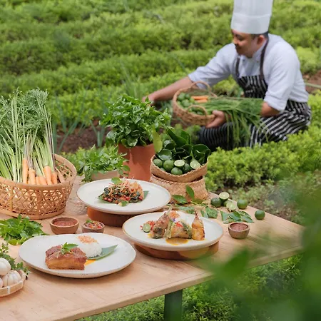 Padma Resort Ubud-2