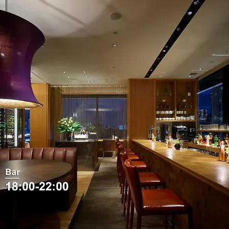 Hotel The Celestine Ginza-3