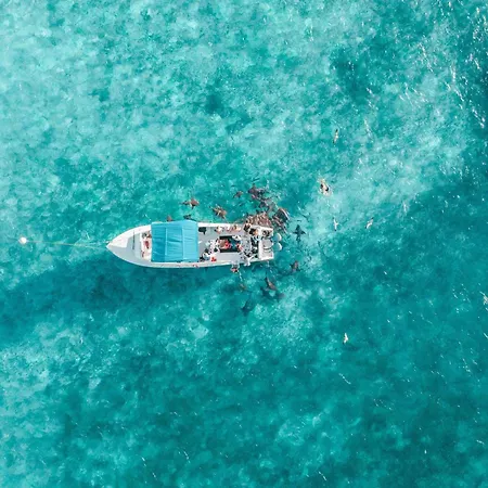 Reef Haven Belize-3