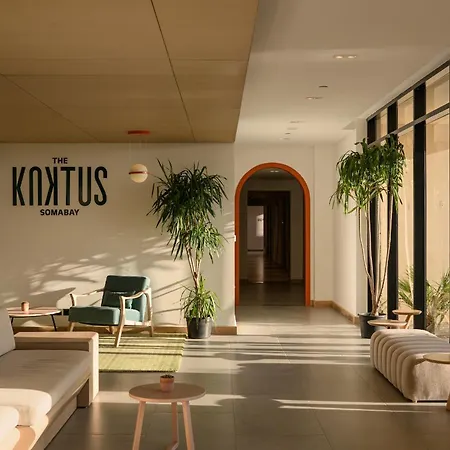 The Kaktus Somabay-3