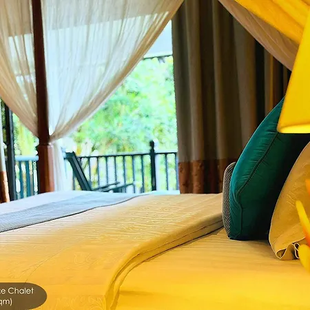 Cyberview Resort & Spa-2