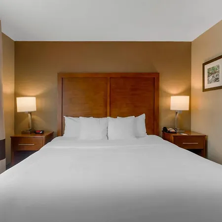 Comfort Inn & Suites Peachtree Corners - Norcross-2