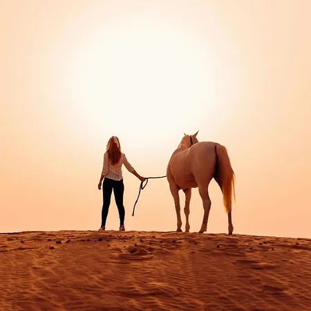 Al Wathba, A Luxury Collection Desert Resort & Spa, Abu Dhabi-2