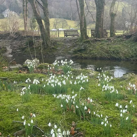 The Grasmere Hotel-3