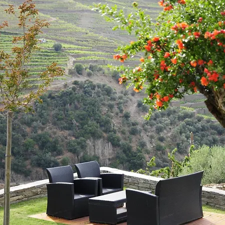 Hotel Rural Quinta Do Pego-2