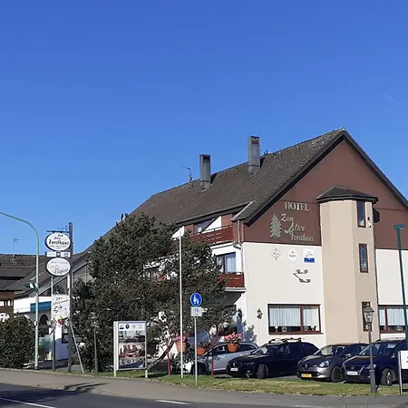 Land-Gut-Hotel Zum Alten Forsthaus - Aufladestation Fuer Elektroautos-3