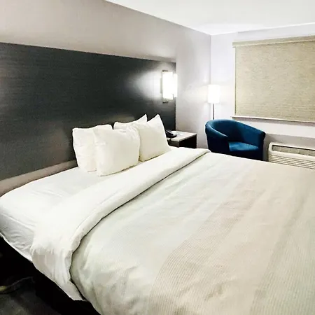 Quality Inn Raynham - Taunton-2
