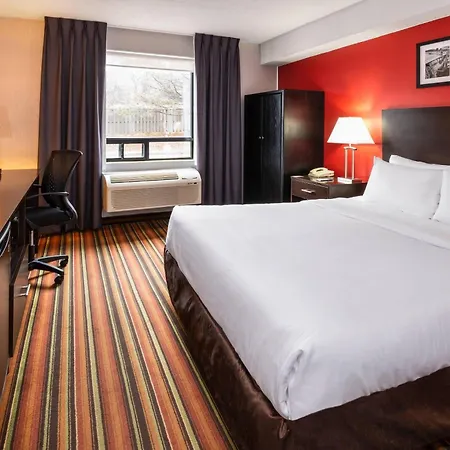 Comfort Hotel & Suites-3