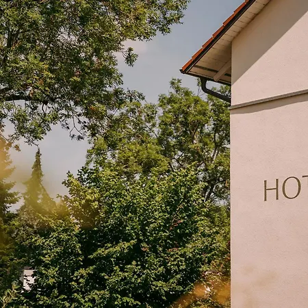 Hotel Muehle-3