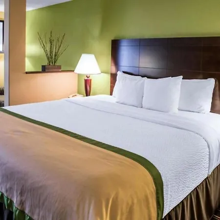 Clarion Inn Asheville Airport-2