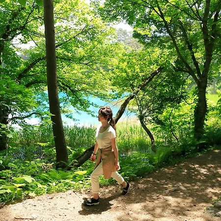 Urabandai Lake Resort Goshiki No Mori-3