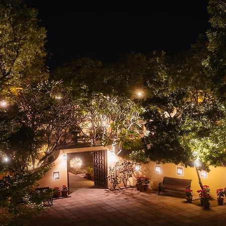 Rohet Garh-3