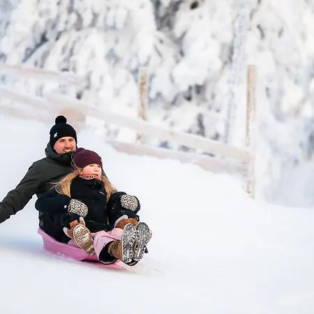 Lapland Winter Park Chalets-2