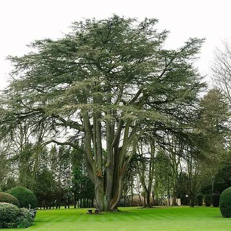 Ansty Hall-3