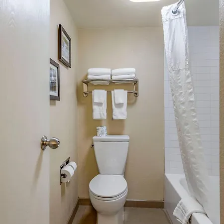 Comfort Inn & Suites Little Rock Airport-3