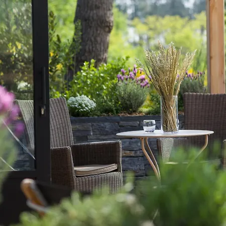 La Gree Des Landes - Eco-Hotel-Spa Yves Rocher-3