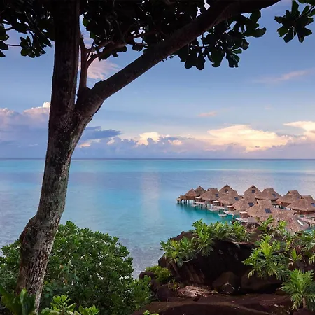 Conrad Bora Bora Nui-3