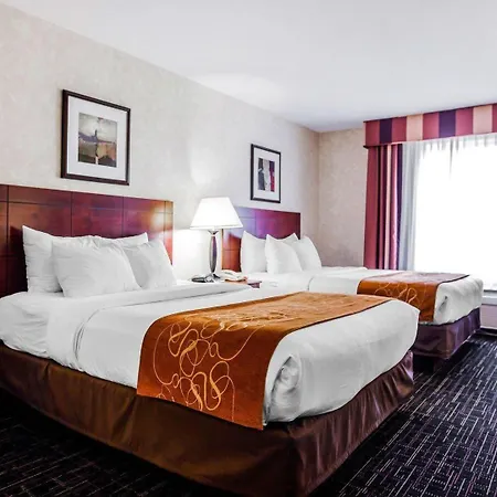 Comfort Suites Independence - Kansas City-3