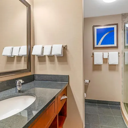 Drury Plaza Hotel St Louis Brentwood-3