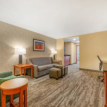 Drury Plaza Hotel St Louis Brentwood-2
