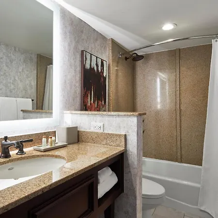 Renaissance Mobile Riverview Plaza Hotel-3