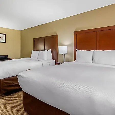 Comfort Inn & Suites Mccomb-2