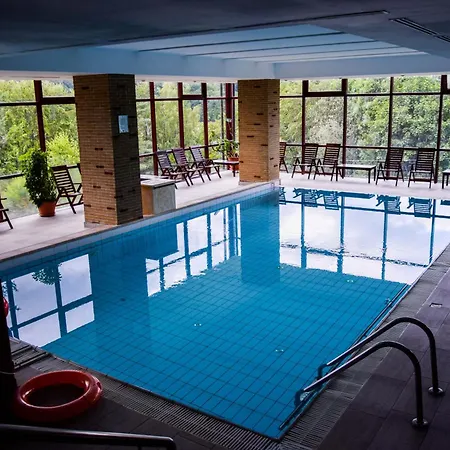 Hotel Valea Cu Pesti-3