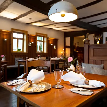 Hotel Saxenhof-3