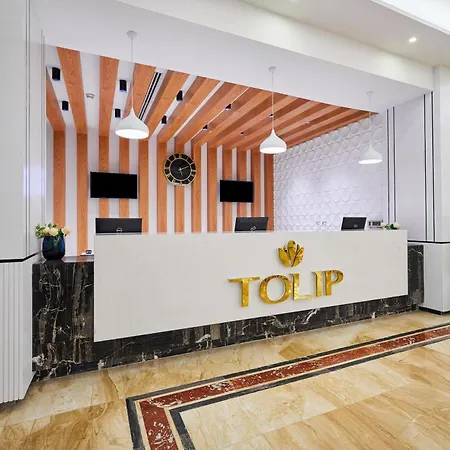 Tolip North Coast Hotel-3