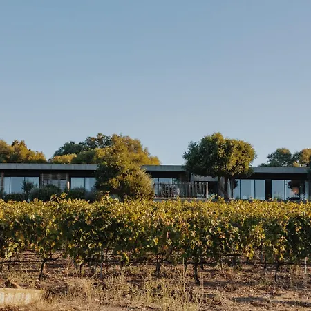 Domaine De Peretti Della Rocca-2