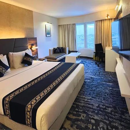 Sayaji Indore-2