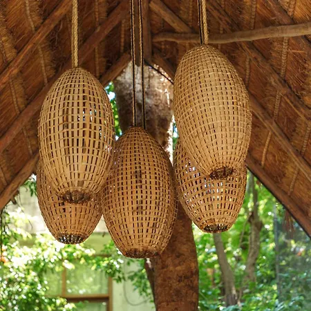 Terasu Riviera Maya Hotel&Spa, en Xcaret-3