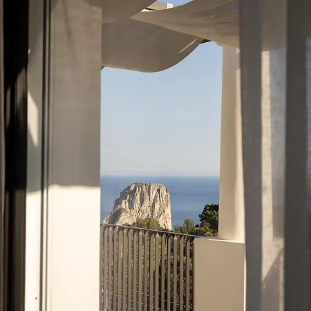 Villa Certosa Boutique Hotel Capri-2