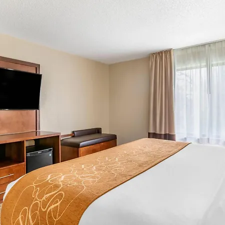 Comfort Suites Grand Rapids North-3
