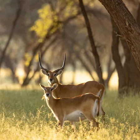 Wabi Private Luxury Game Reserve-2