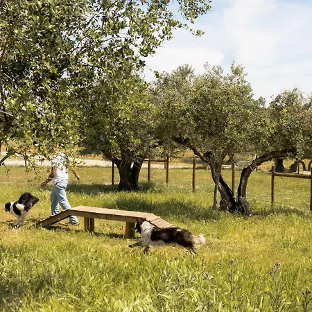 Quinta Da Amendoeira - Evora - The Farmhouse-3