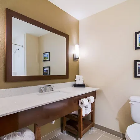 Comfort Inn & Suites Rock Hill Northeast-2