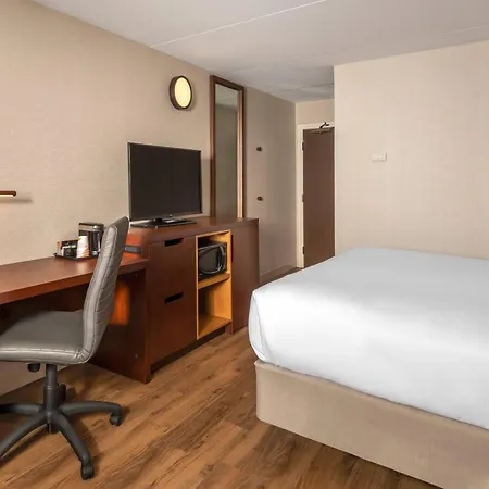 Comfort Inn Dryden-3