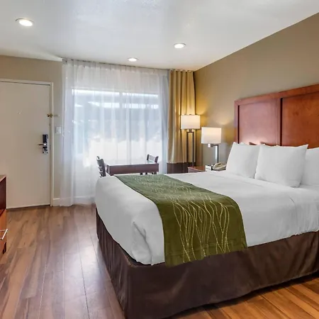 Comfort Inn Bishop-3