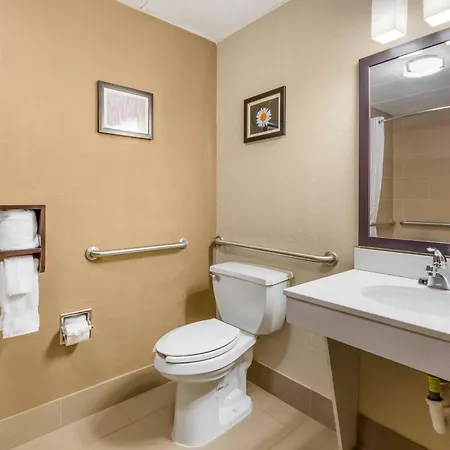 Comfort Suites Regency Park-3