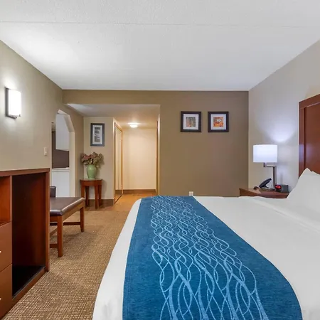 Comfort Inn Binghamton I-81-2