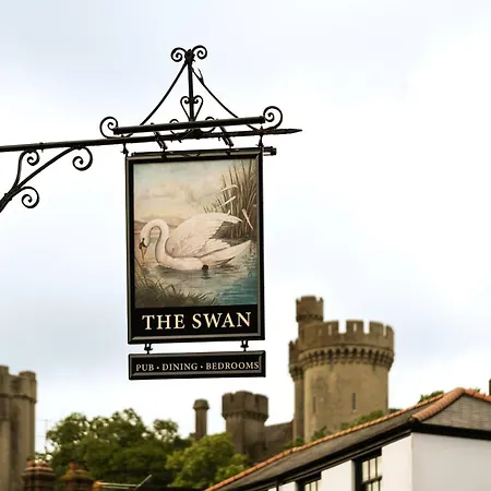The Swan-3