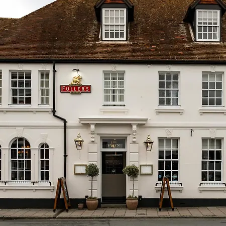 The Swan-2