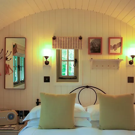 The Fish Hotel-2