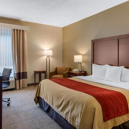 Comfort Inn Chester - Richmond South-3