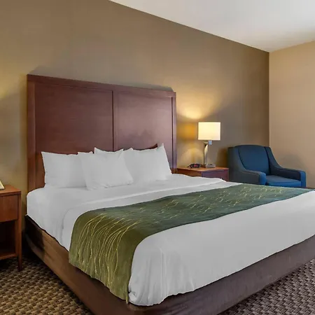 Comfort Inn Charlotte-3