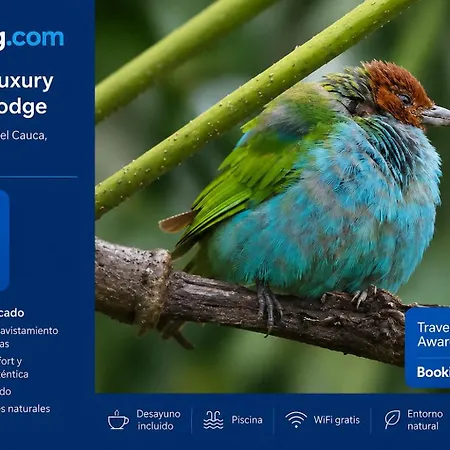 Natural Luxury Birding Lodge - Premium Birdwatching Near Cali-3
