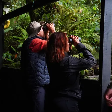 Natural Luxury Birding Lodge - Premium Birdwatching Near Cali-2